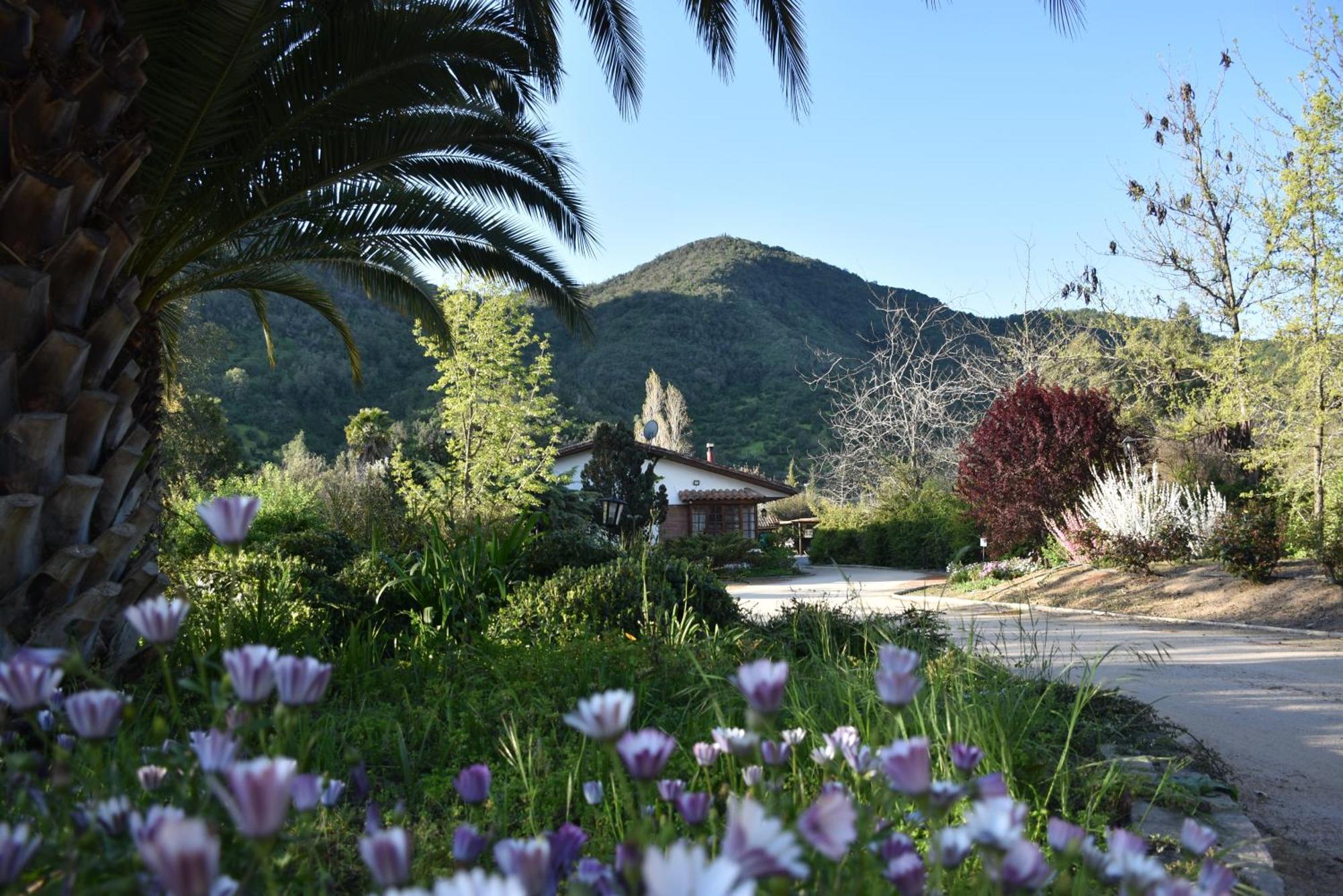 Hotel Boutique Solaz Bella Vista De Colchagua Санта-Крус Екстер'єр фото