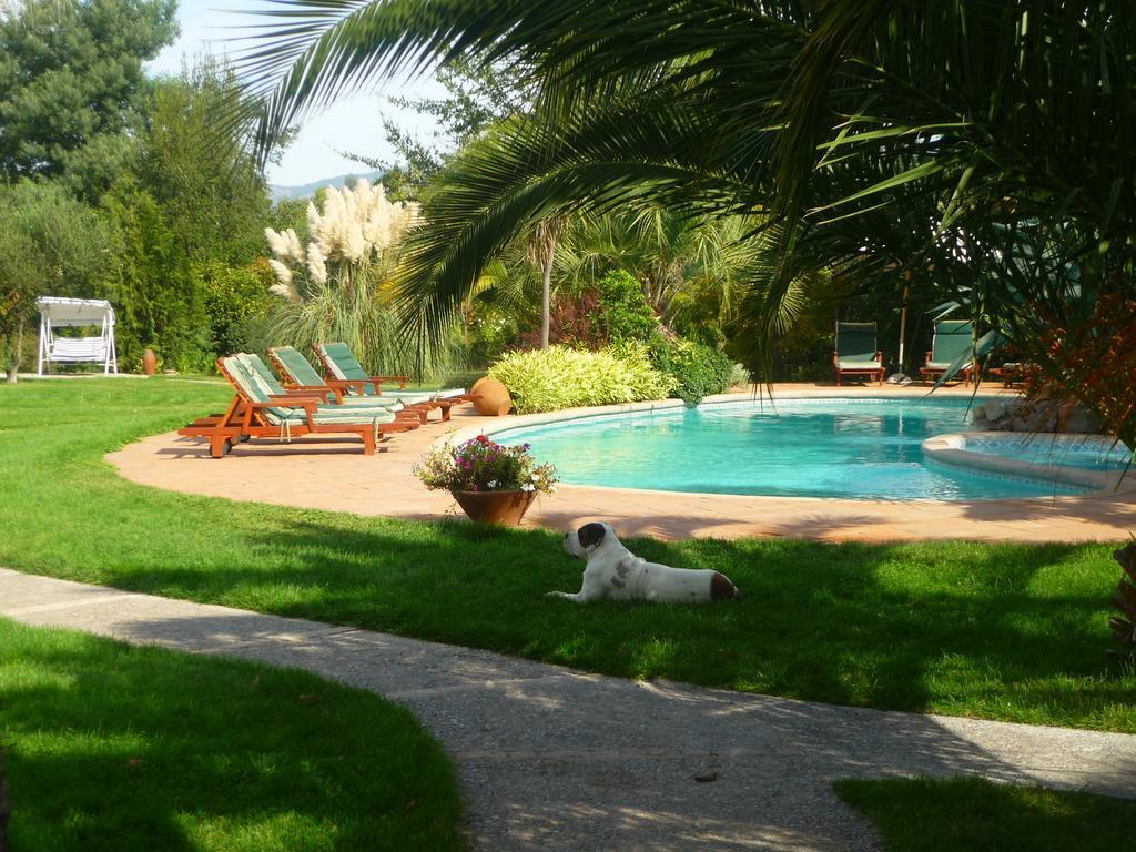 Hotel Boutique Solaz Bella Vista De Colchagua Санта-Крус Екстер'єр фото